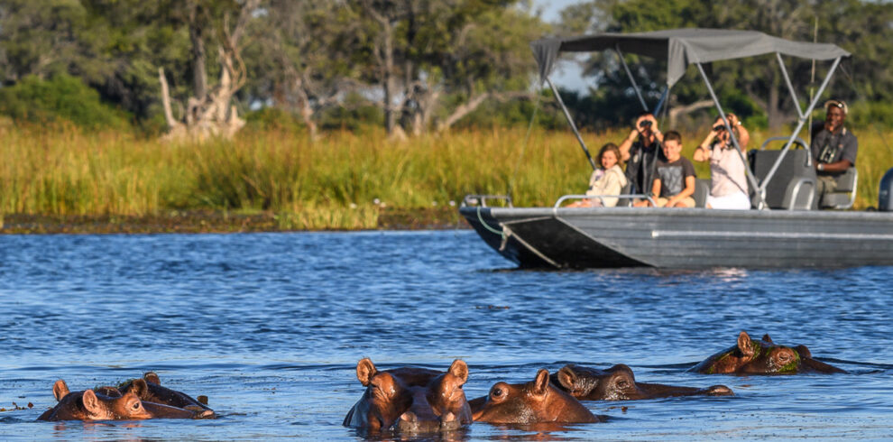chobe day trip banner