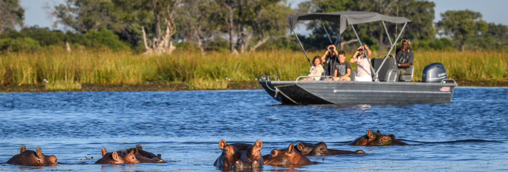 chobe day trip banner