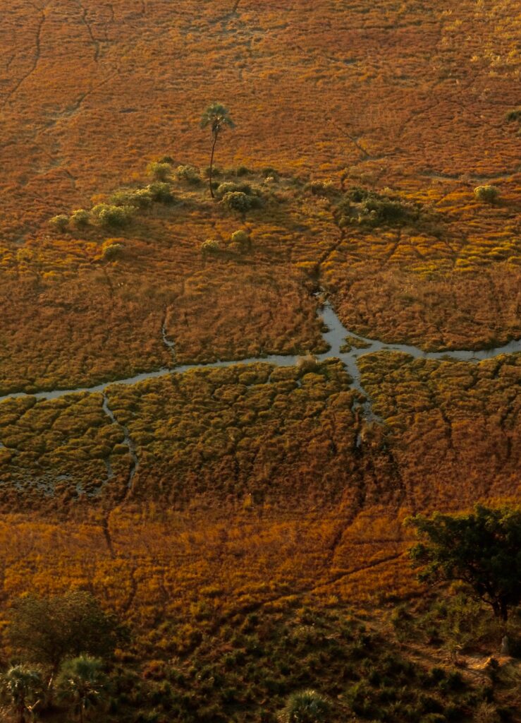 A scenic aerial shot showcasing an arid landscape with intricate water patterns and vegetation.